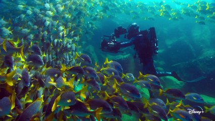 Animals Up Close with Bertie Gregory