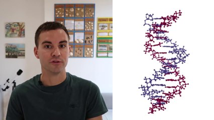 Toute la structure ADN en 6 minutes !