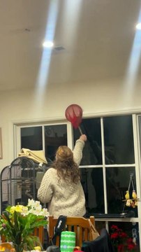 Hochets de rongeurs massifs pour femmes