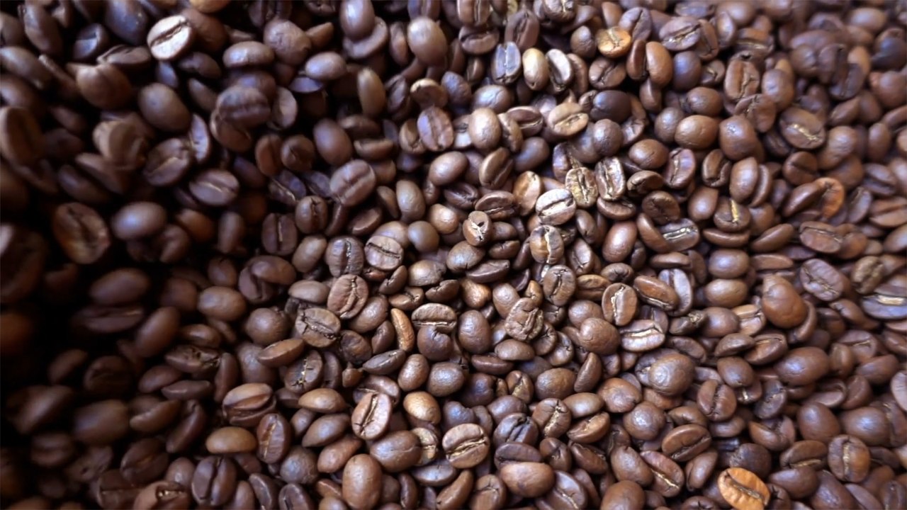 Fairtrade CEO warns coffee ‘may not be on our shelves forever’ as only 7% of product sold offers fair price to farmers