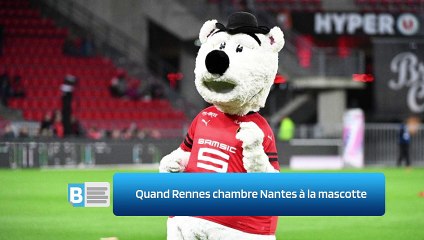 Quand Rennes chambre Nantes à la mascotte