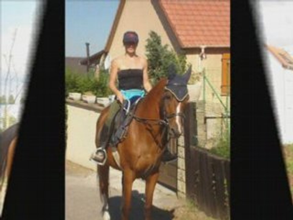 Gips2