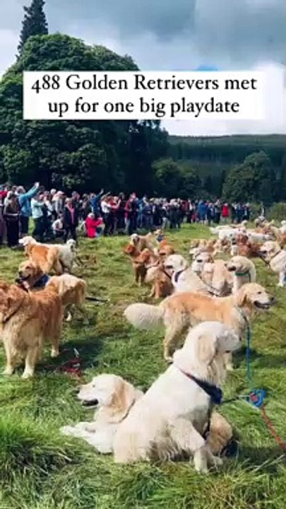 So this is what heaven looks like