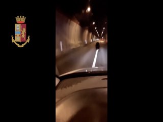 Cucciolo d'orso in galleria, scatta la scorta della polizia