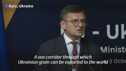 Kyiv urges EU support for grain corridor to work 'at full capacity'