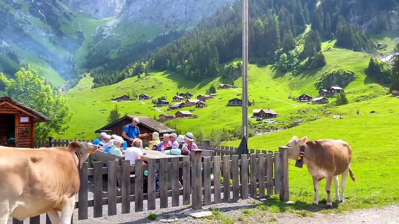 Relax Quiet Cafe ☕ Cozy Coffee Shop with Lofi Hip Hop Mix - Beats to Study _ Work to ☕ Lofi Café