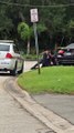 فيديو يفجر جدلاً.. رجل أسود ملطّخ بالدماء وسط شرطة فلوريدا