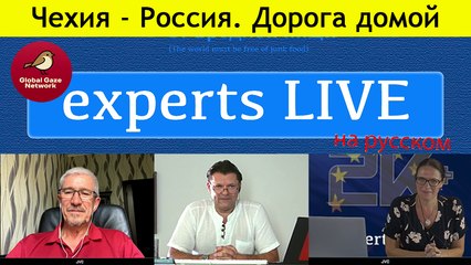 В. Канта: уголовные дела за поддержку России