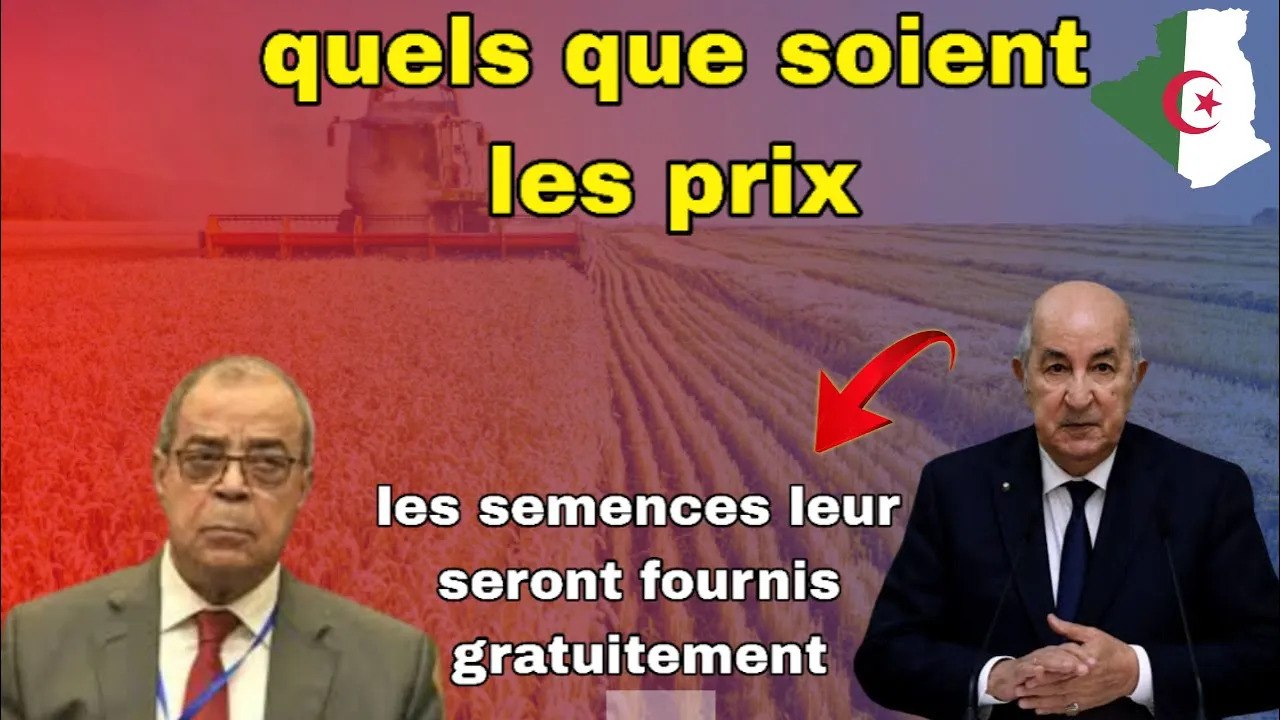 Algérie : le rappel à l’ordre du Tebboune, Ali Aoun bête noire de la mafia du médicament