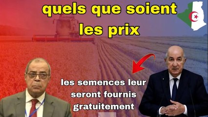 Algérie : le rappel à l’ordre du Tebboune, Ali Aoun bête noire de la mafia du médicament