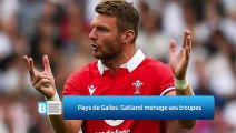 Pays de Galles: Gatland ménage ses troupes