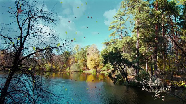 Las estaciones del año: su origen y su ausencia en algunas regiones