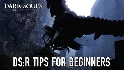 5 Beginner Tips for Dark Souls: Remastered | Vaatividya