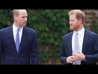 L'enchevêtrement émotionnel" du prince Harry et William aurait laissé la princesse Diana "mortifiée"