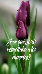 PORQUE RESUCITO JESUS...