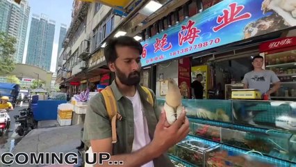EXTREME SEAFOOD MARKET IN CHINA GUNAGZHOU _ THE INDO TREKKER _