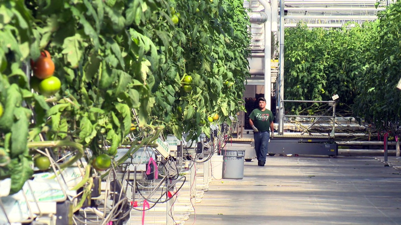 CH 02 Oct TOPO Travailleurs etrangers