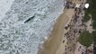 Murió cachalote que encalló en playa de brasileña Florianópolis