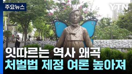 "위안부는 매춘" 잇따르는 망언...5·18처럼 처벌해야? / YTN