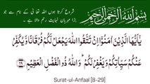 Surah Al-Anfaal Full | سورۃ الانفال | Surah 08 Ayat 29 |Quran With Urdu Translation| Surat-Ul-Anfaal #surahanfaal #tilawat #ayat #quran