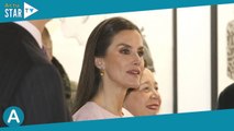 Letizia d'Espagne angélique en rose : la reine rayonne, son mari Felipe VI copie le look du prince W