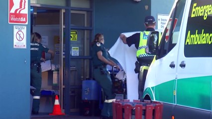 Women 'seriously injured' in shark attack in SA