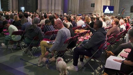 Desfile de animais de estimação lota catedral de Nova York para bênção