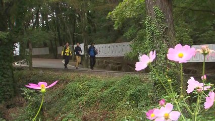 [날씨] 개천절, 선선한 가을...남해안·제주도 비 조금 / YTN