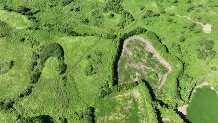 제주 첫 동물장묘시설 내년 상반기 착공 / YTN