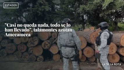 "Casi no queda nada, todo se lo han llevado", talamontes azotan #amecameca