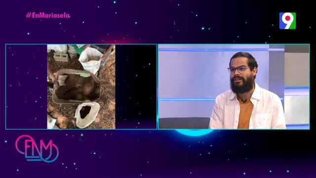 Iniciativa que ofrece solución a la gestión de los residuos orgánicos | Esta Noche Mariasela