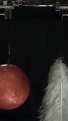 Uma pena e uma bola de boliche caem com a mesma velocidade