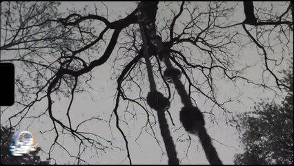 LOS ROSTROS (Historias De Terror)