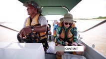 Dozens of rare Amazon dolphins found dead