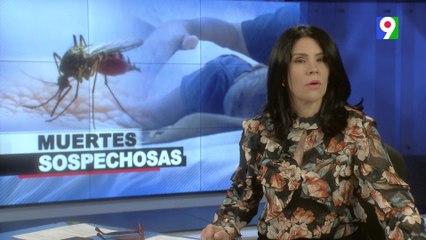 Al menos 4 niños muertos por dengue en el Robert Reid| Emisión Estelar SIN con Alicia Ortega