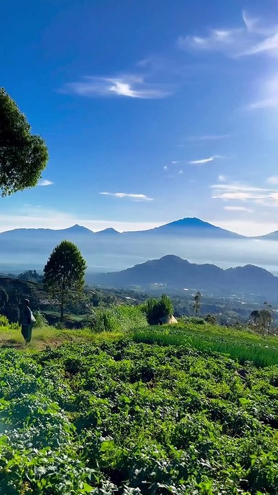 Alam yang indah