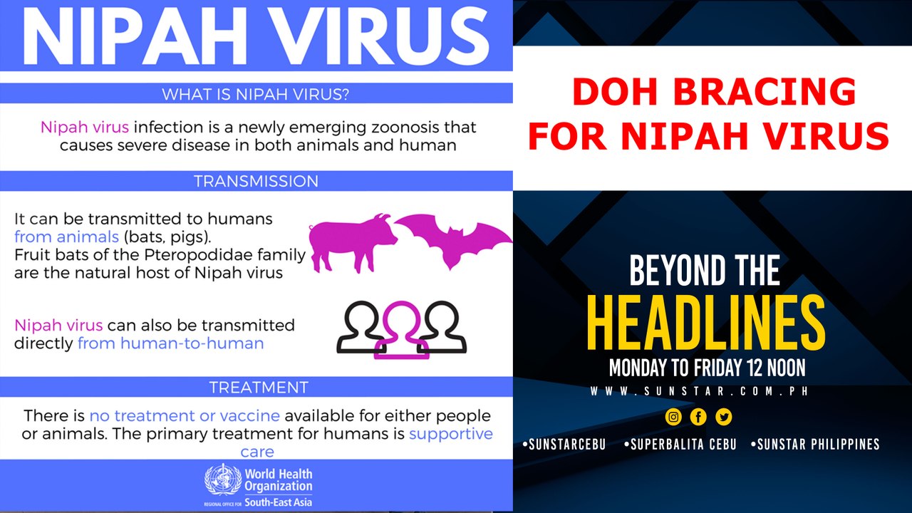 Nipah virus