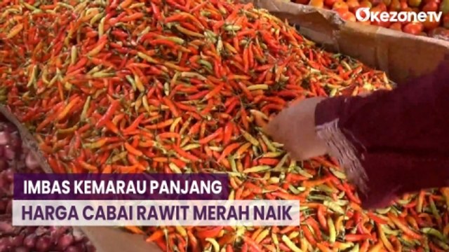 Kemarau Panjang, Harga Cabai Rawit Merah di Tangerang Naik