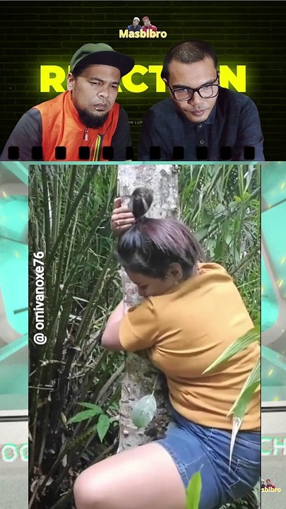 video lucu panen buah pepaya