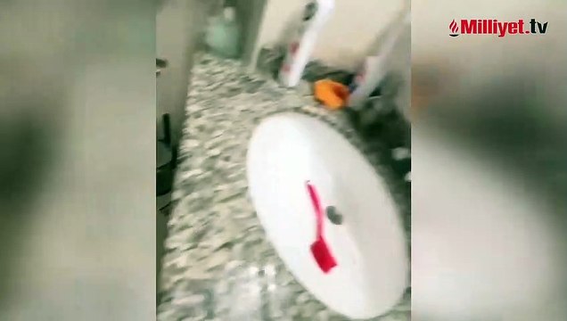 Doğukan Manço: Kuşlar evimi başıma yıktı!