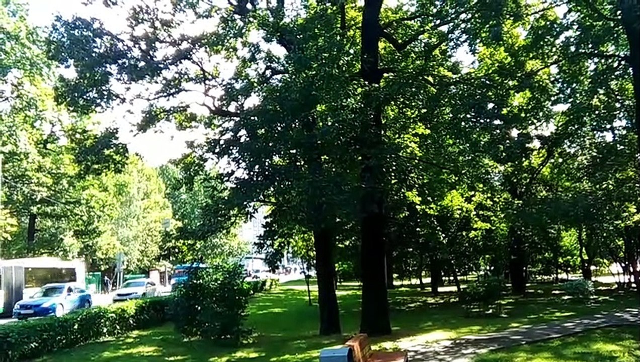 665f95f659.mp4