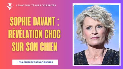 Révélation Choc : Le Chien de Sophie Davant au Cœur du Scandale