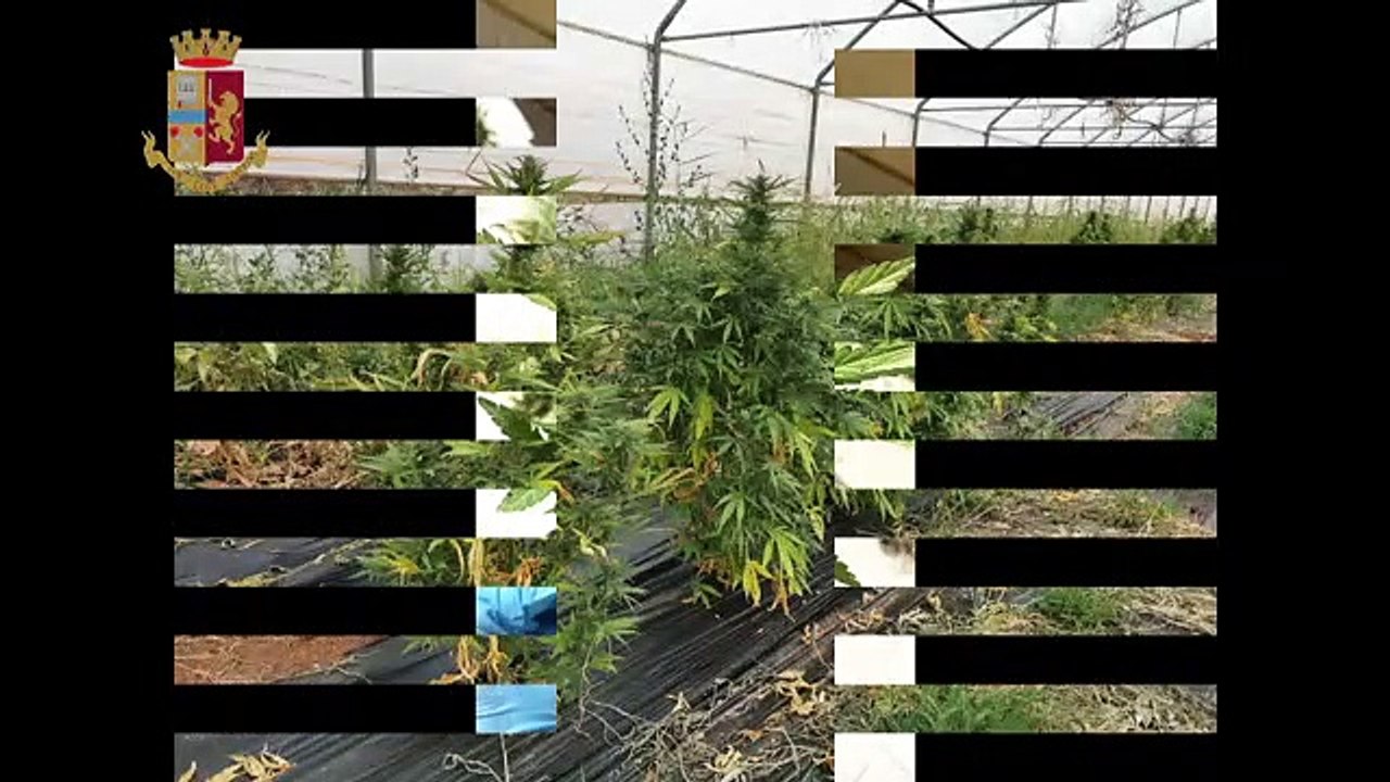 'Ndrangheta, vasta operazione nel Crotonese: arresti a Isola Capo Rizzuto