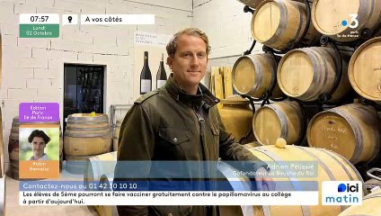 Un vignoble dans les Yvelines : au cœur du chai d'élevage