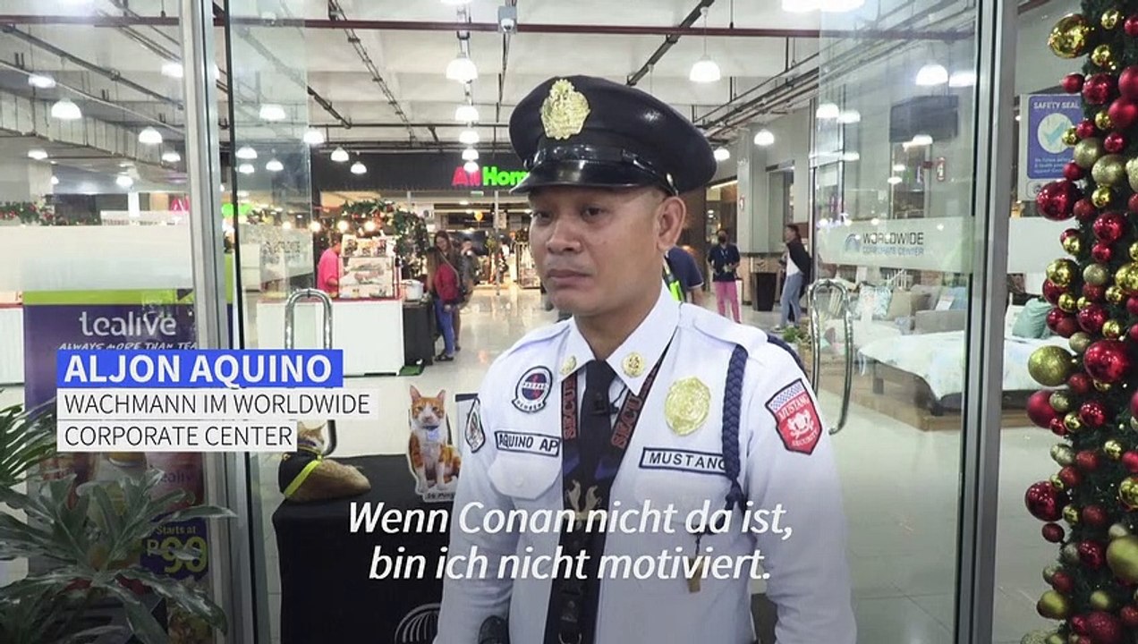 Pfoten-Patrouille in Manila