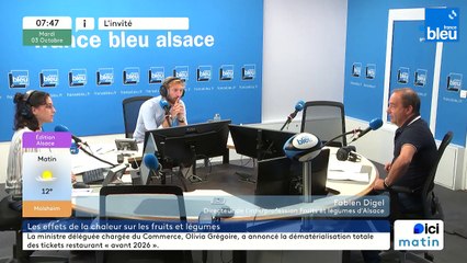 Fabien Digel, directeur de l'Interprofession Fruits et légumes d'Alsace