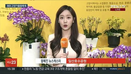 만개한 가을꽃 보며 힐링…2023 고양가을꽃축제