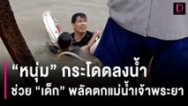 ไม่มีห่วงชีวิตตัวเอง! 