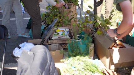 20230928_krzysiekkrajewski_drzewko za surowce wtórne