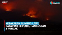 Kebakaran Gunung Lawu Capai 910 Hektare, Hanguskan 3 Puncak